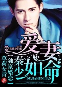 危险婚姻，秦少爱妻如命