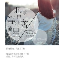 北极星，等待着流星。