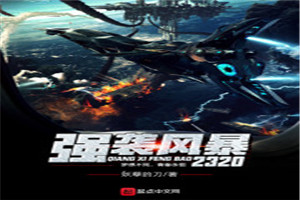 强袭风暴2320